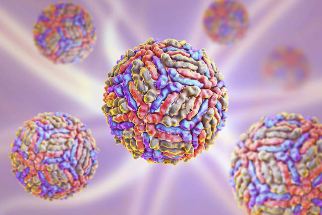 Particules du virus du Nil occidental, illustration numérique . — Photo de stock