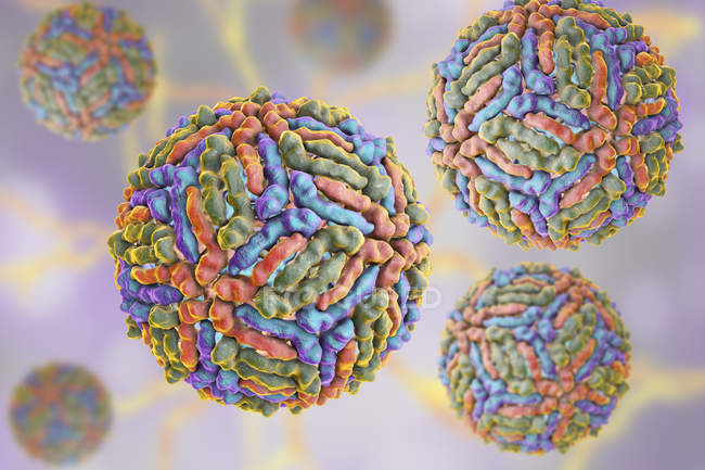 West Nile virus particles, digital illustration. — Stock Photo