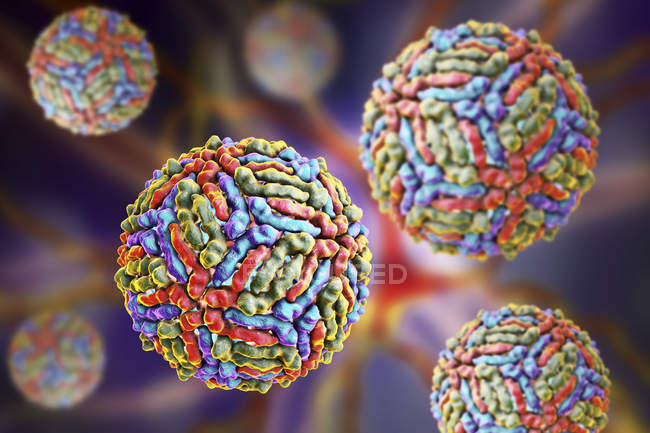 West-Nil-Viruspartikel, digitale Illustration. — Stockfoto