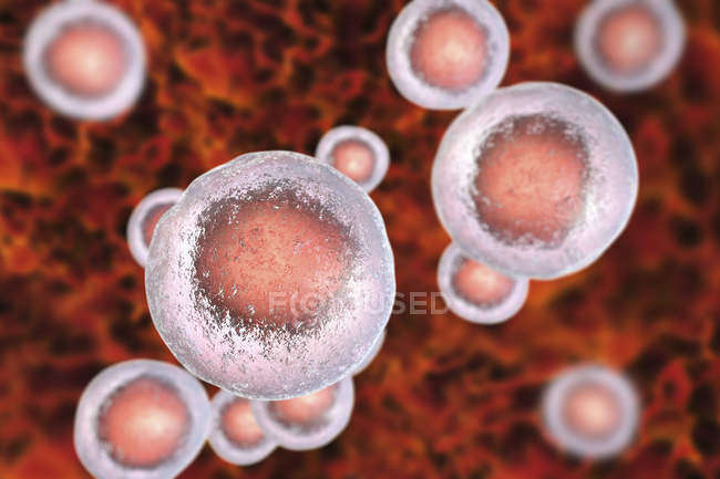 Colored human embryonic stem cells, digital illustration. — Stock Photo