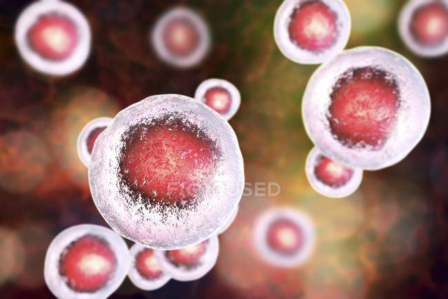 Colored human embryonic stem cells, digital illustration. — Stock Photo