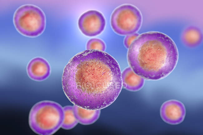 Farbige menschliche embryonale Stammzellen, digitale Illustration. — Stockfoto
