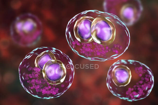 Digital artwork of human cells with cytomegalic inclusion disease symptom of cytomegalovirus infection. — Stock Photo