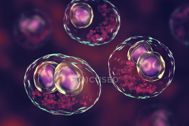 Opera d'arte digitale di cellule umane con malattia da inclusione citomegalica sintomo di infezione da citomegalovirus . — Foto stock