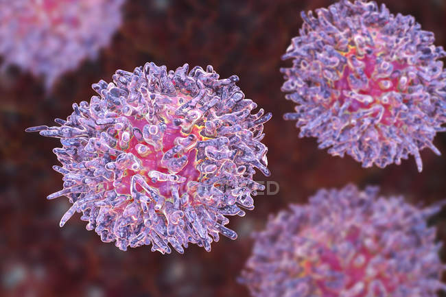 Digital illustration of uncommon cells of hairy cell leukemia. — Stock Photo