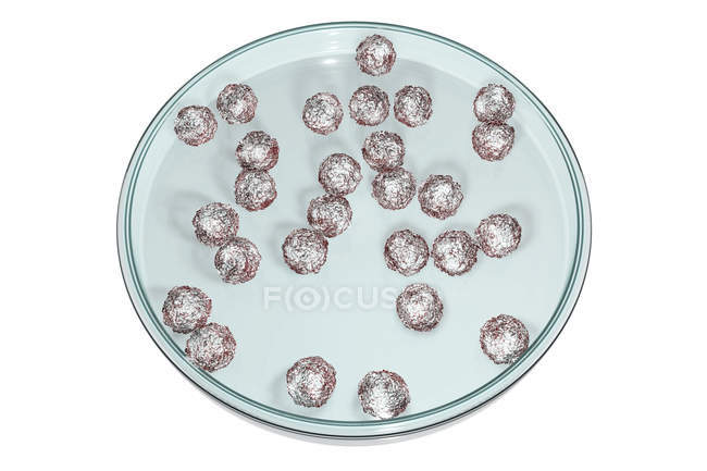 Menschliche embryonale Stammzellen in der Petrischale, digitale Illustration. — Stockfoto