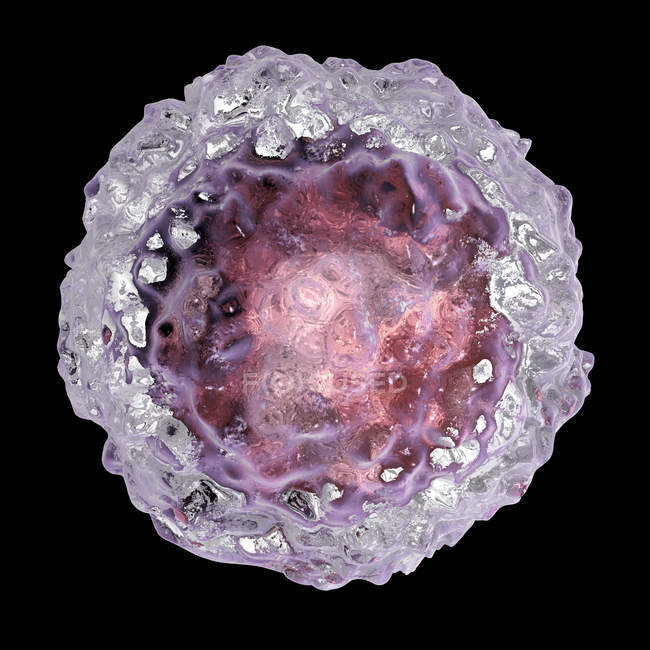 Célula madre embrionaria humana, ilustración digital . - foto de stock