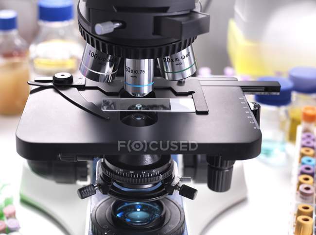 Diapositiva de vidrio que contiene muestra humana bajo microscopio de luz para pruebas médicas
. - foto de stock