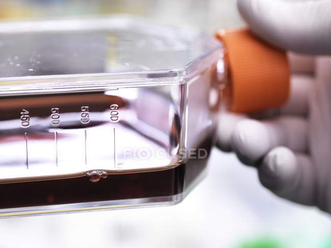 Gros plan de la main d'un biologiste cellulaire tenant une fiole de cellules souches cultivées en milieu de croissance rouge
. — Photo de stock