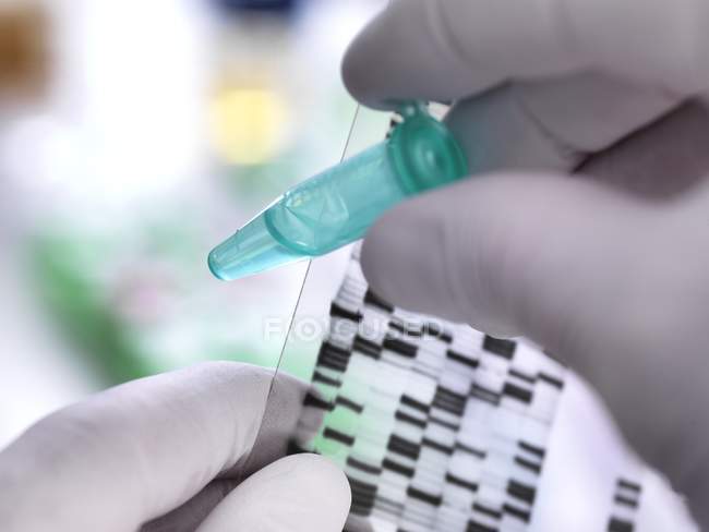 Ученый, держащий образец ДНК в трубке с авторадиографом на геле ДНК
. — стоковое фото