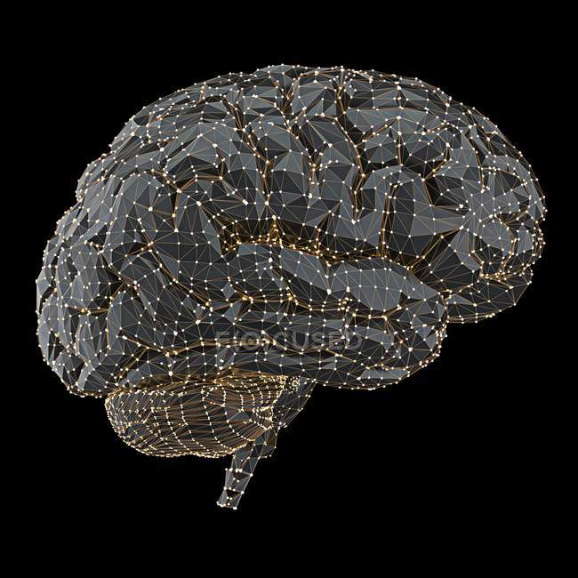 Cerebro humano con conexiones y puntos, ilustración . - foto de stock