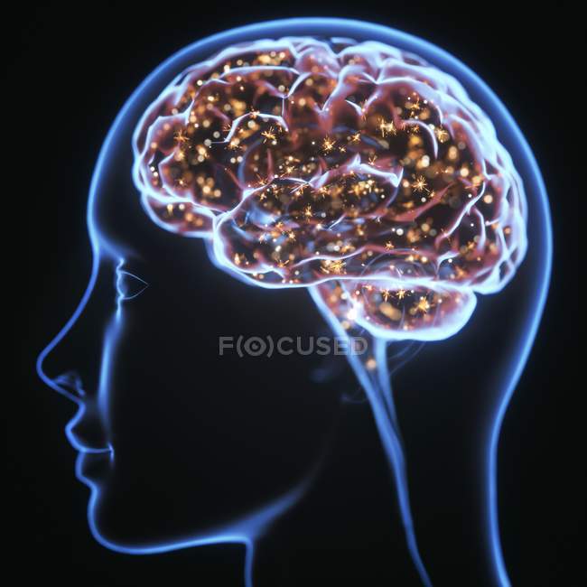 Silhueta humana com cérebro, ilustração digital . — Fotografia de Stock