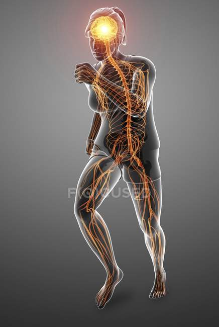 Running female silhouette with glowing nervous system, digital illustration. — Stock Photo