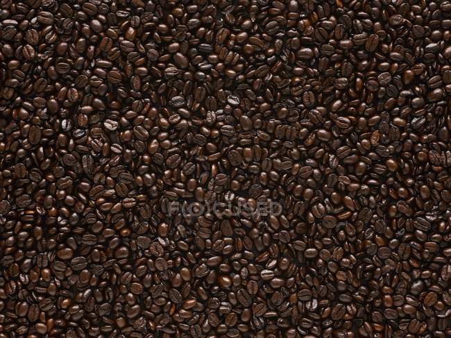 Graines de café brunes torréfiées, cadre complet . — Photo de stock