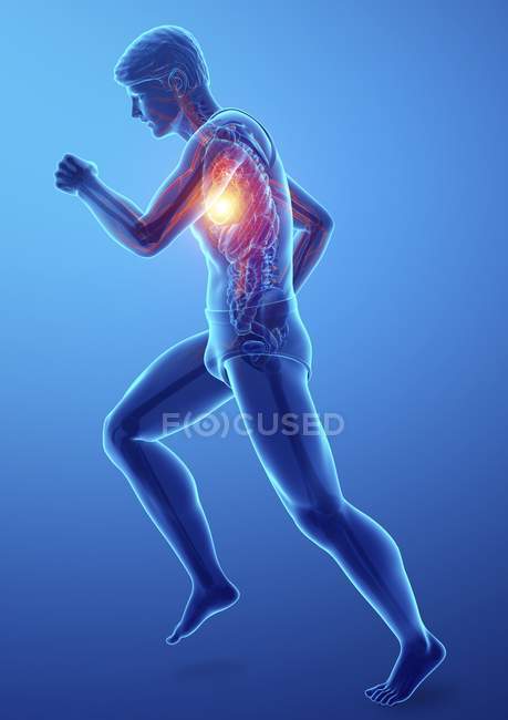 Silueta masculina corriendo con dolor en el pecho, ilustración digital . - foto de stock