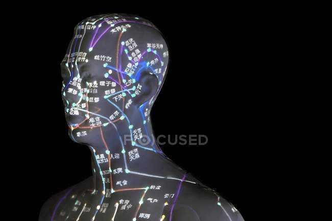 Acupuncture model with acupoints against black background. — Stock Photo