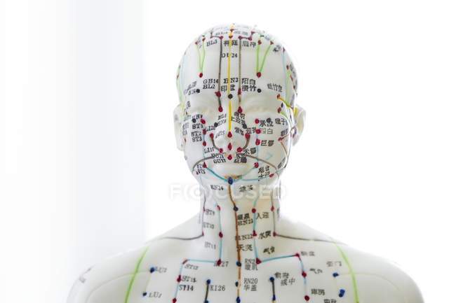 Modelo de acupuntura com acupontos e caracteres chineses, tiro estúdio — Fotografia de Stock