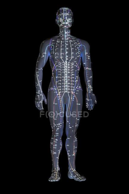 Acupuncture model with acupoints against black background. — Stock Photo