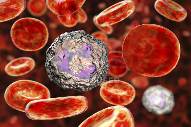 Нейтрофильные лейкоциты, цифровая иллюстрация
. — стоковое фото