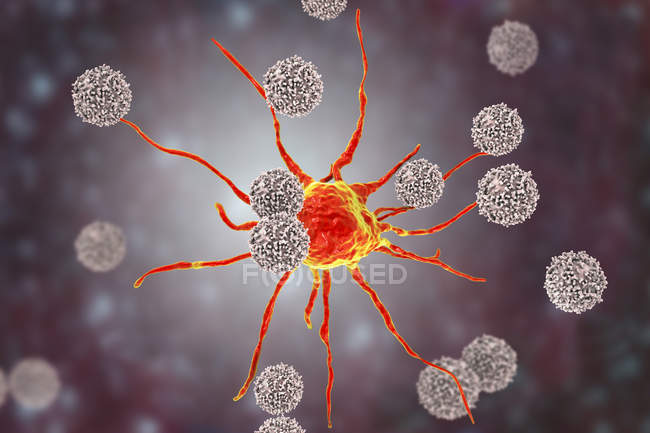 Цифровой рисунок Т-лимфоцитов, атакующих красные раковые клетки
. — стоковое фото