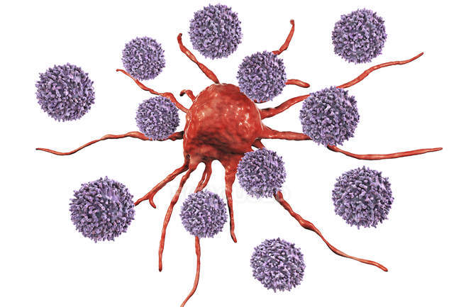 Цифровой рисунок Т-лимфоцитов, атакующих красные раковые клетки . — стоковое фото