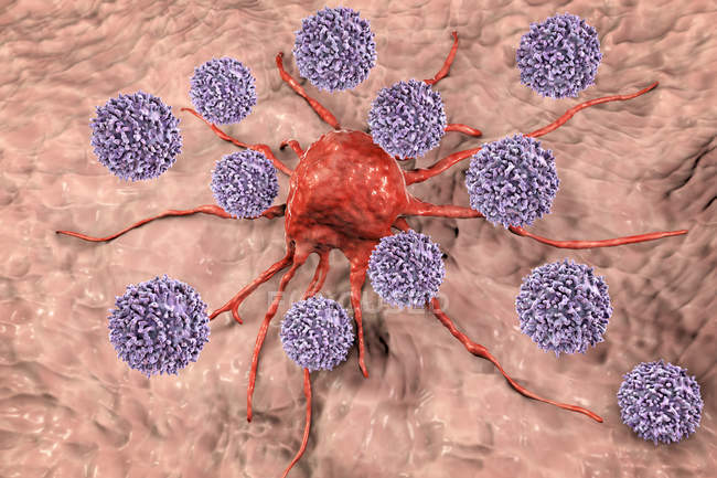 Digital artwork of T-lymphocyte cells attacking red cancer cell. — Stock Photo
