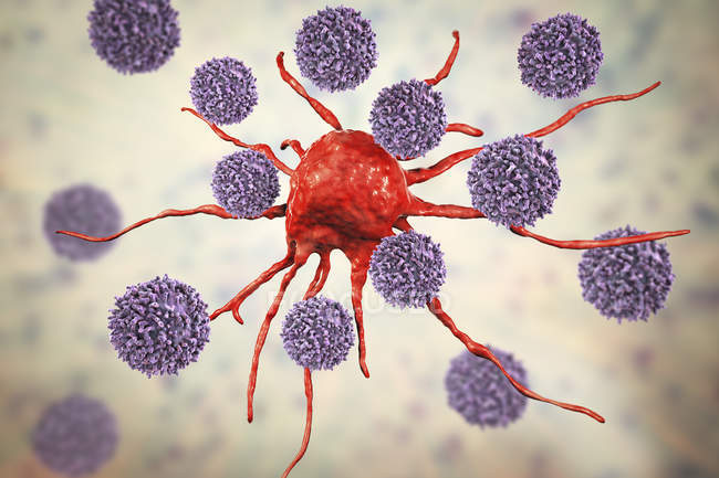 Digital artwork of T-lymphocyte cells attacking red cancer cell. — Stock Photo