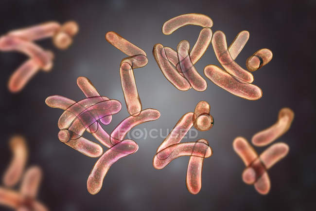 Grupo de bacterias flagella cólera, ilustración digital . - foto de stock