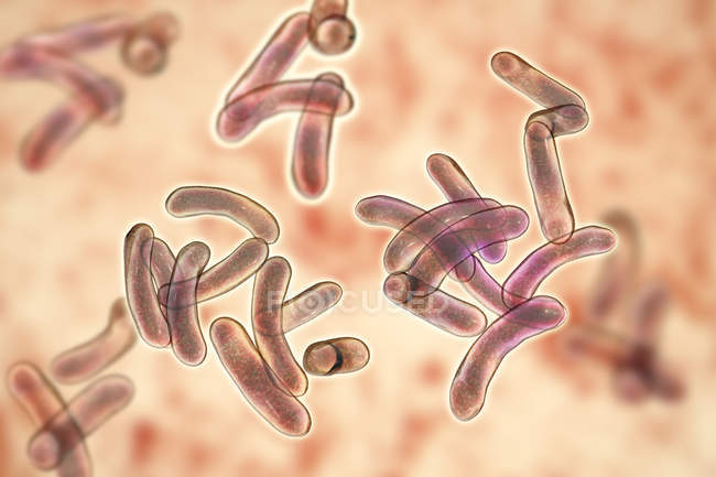 Grupo de bacterias flagella cólera, ilustración digital
. - foto de stock