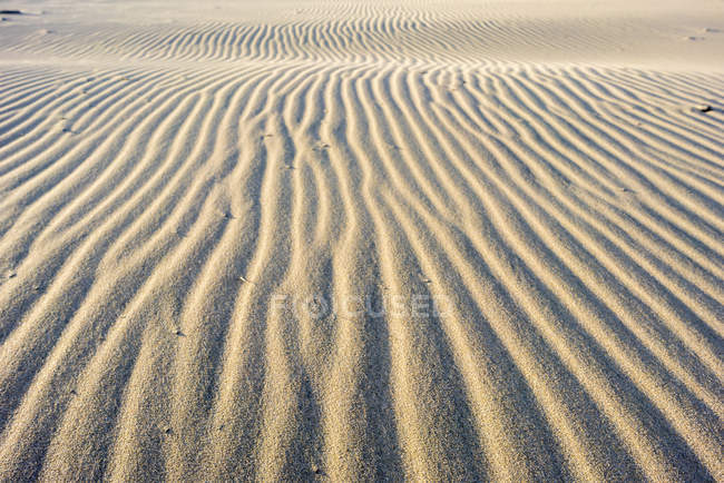 Patrón natural de ondulaciones sobre arena en desierto árido . - foto de stock
