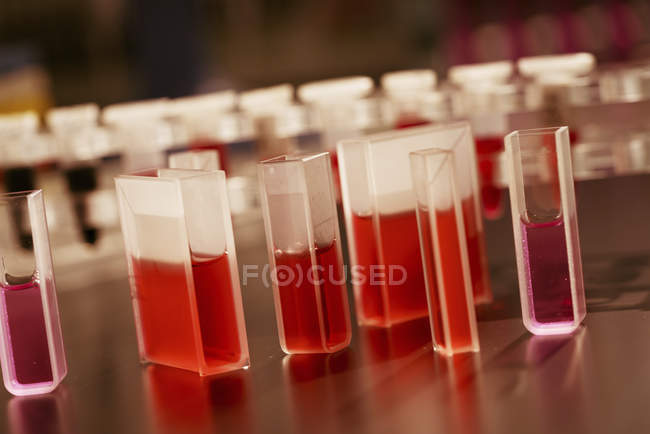 Quartz cuvettes containing red liquid. — Stock Photo