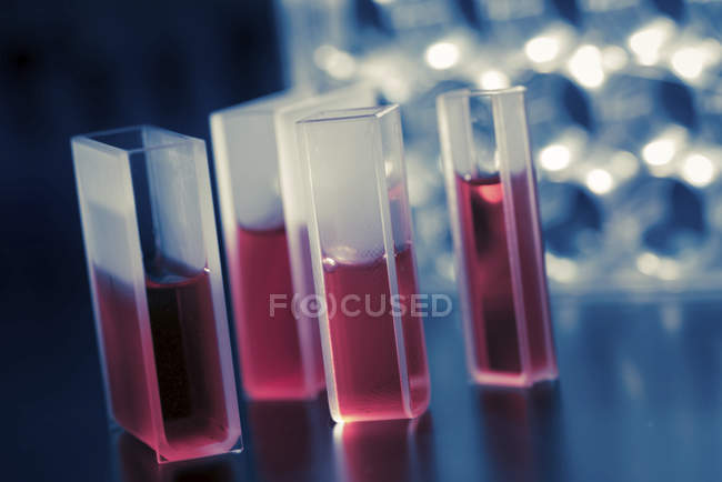 Cuvetes de quartzo contendo líquido vermelho . — Fotografia de Stock
