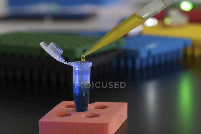 Крупный план образца пипетки в пластиковую микроцентрифужную трубку
. — стоковое фото