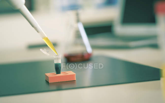 Close-up da amostra de pipetagem no tubo de microcentrífuga de plástico . — Fotografia de Stock