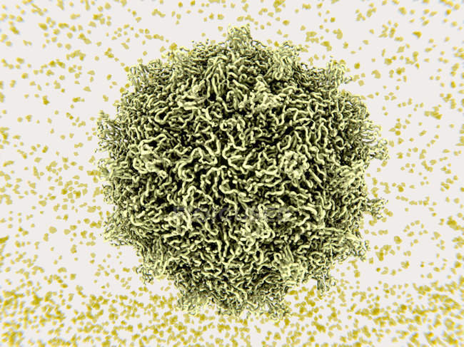 Partícula del virus Coxsackievirus, ilustración médica . - foto de stock