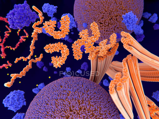 Proteína de Tau en enfermedad de Alzheimers, ilustración médica . - foto de stock