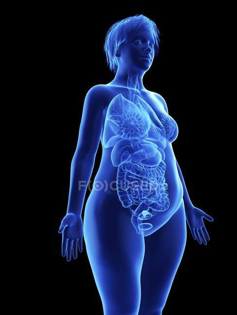 Ilustração da silhueta azul da mulher obesa com órgãos internos sobre fundo preto . — Fotografia de Stock