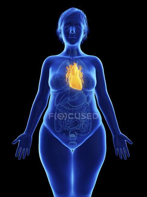 Лобової ілюстрація синій силует ожирінням жінка з виділених серце на чорному фоні. — стокове фото