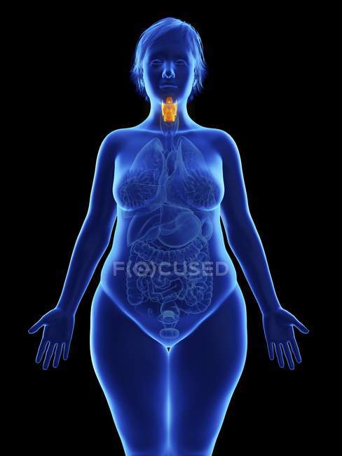 Фронтальна ілюстрація синього силуету ожиріння жінки з підсвіченою гортані на чорному тлі . — стокове фото