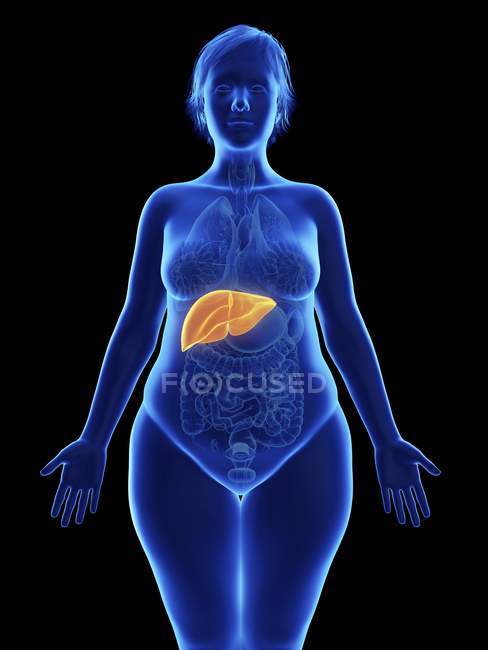 Frontal illustration of blue silhouette of obese woman with highlighted liver on black background. — Stock Photo