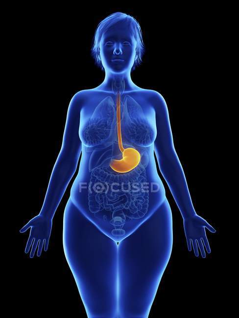 Фронтальная иллюстрация синего силуэта ожирения женщины с выделенным желудком на черном фоне . — стоковое фото