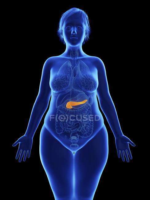 Illustration frontale de la silhouette bleue d'une femme obèse au pancréas surligné sur fond noir
. — Photo de stock