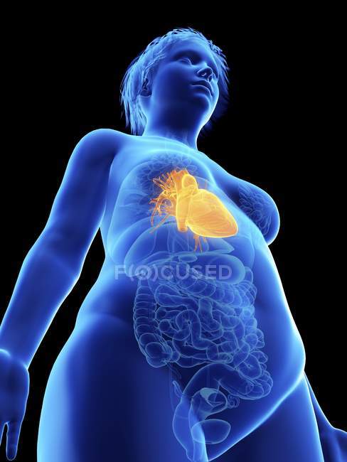Низький кут зору ілюстрація синій силует ожирінням жінка з виділених серце на чорному фоні. — стокове фото