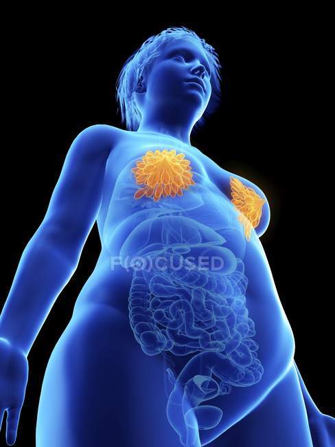 Low angle view illustration of blue silhouette of obese woman with highlighted mammary glands on black background. — Stock Photo