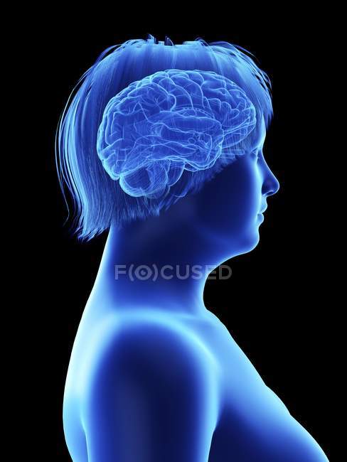 Side view illustration on black of silhouette of obese woman with highlighted brain. — Stock Photo