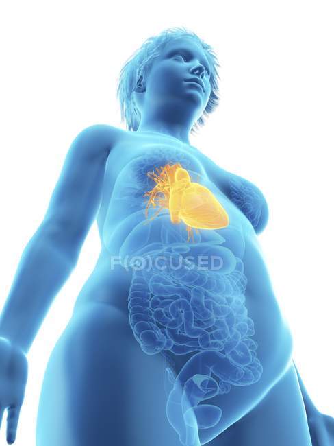 Low angle view illustration of blue silhouette of obese woman with highlighted heart. — Stock Photo