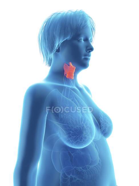 Illustration der blauen Silhouette einer übergewichtigen Frau mit hervorgehobenem Kehlkopf. — Stockfoto