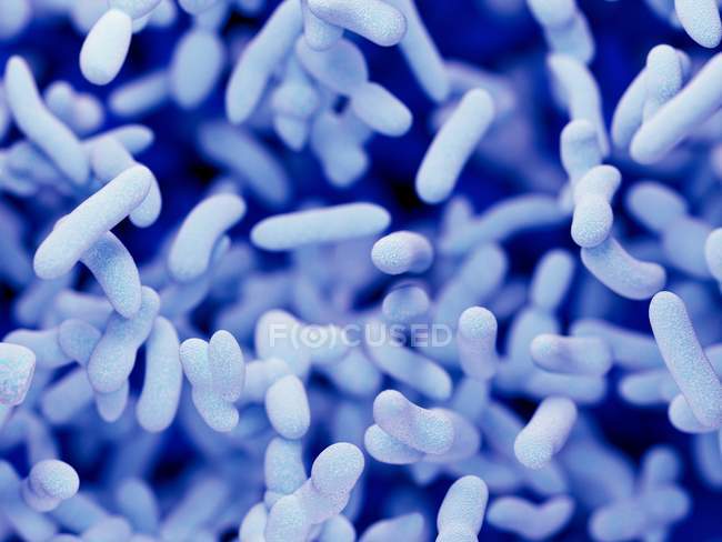 Illustrazione astratta di batteri bacilli blu, full frame
. — Foto stock