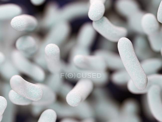 Illustration abstraite de bactéries bacilles blanches, plein cadre
. — Photo de stock