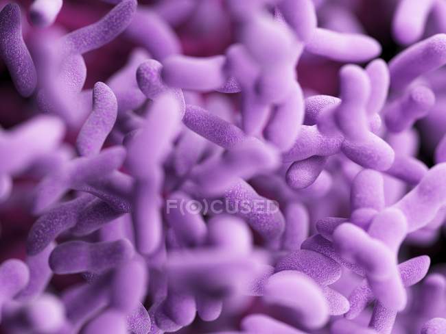 Abstract illustration of purple bacilli bacteria, full frame. — Stock Photo